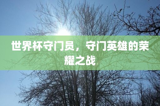 世界杯守门员，守门英雄的荣耀之战