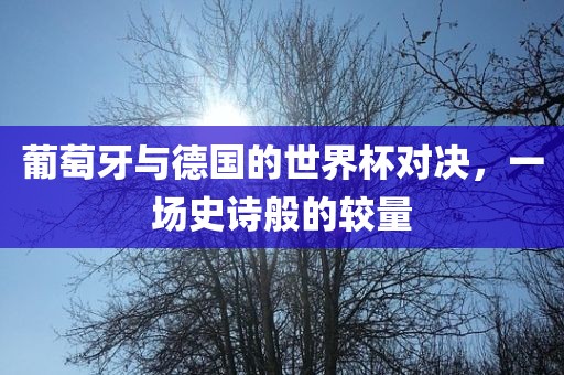 葡萄牙与德国的世界杯对决，一场史诗般的较量金炬实业股份有限公司