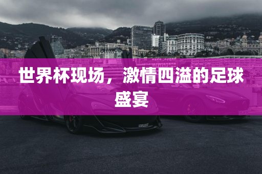 世界杯现场，激情四溢的足球盛金炬实业股份有限公司宴