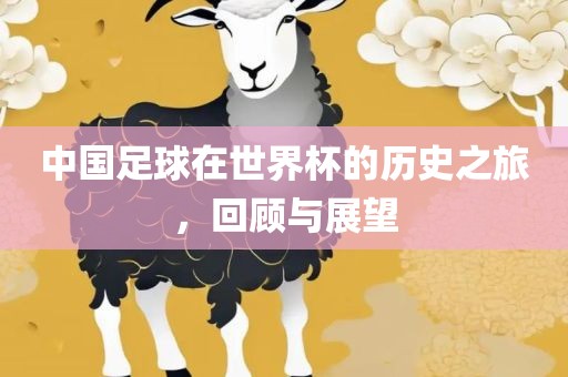 中国足球在世界杯的历史之旅，回顾与展望金炬实业股份有限公司