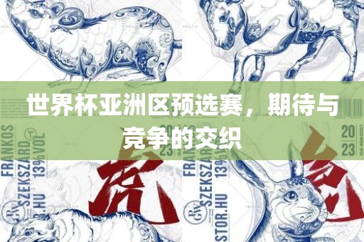 世界杯亚洲区预选赛，期待与竞争的交织