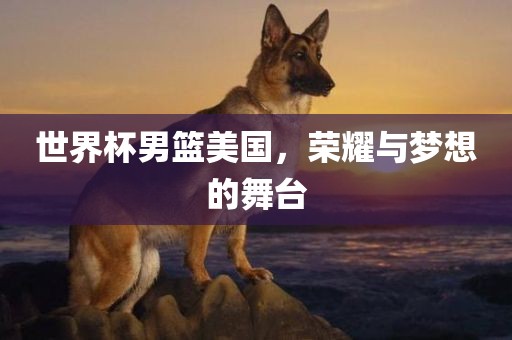 世界杯男篮美国，荣耀与梦想的舞台金炬实业股份有限公司