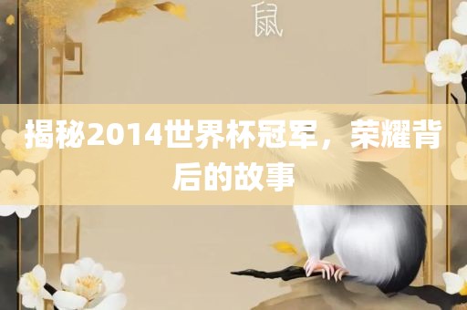 揭秘2014世界杯冠军，荣耀背后的故事