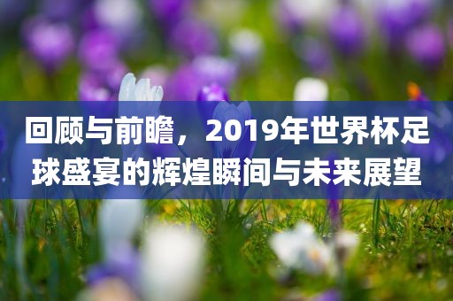 回顾与前瞻，2019年世界杯足球盛宴的辉煌瞬间与未来展望