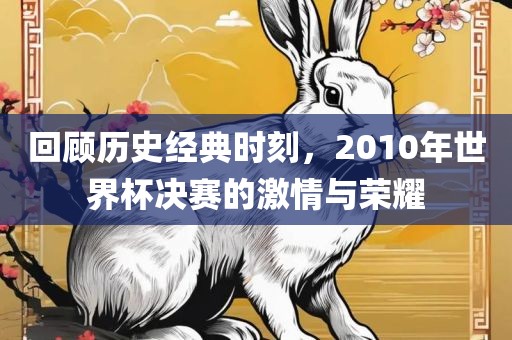 回顾历史经典时刻，2010年世界杯决赛的激情与荣耀金炬实业股份有限公司