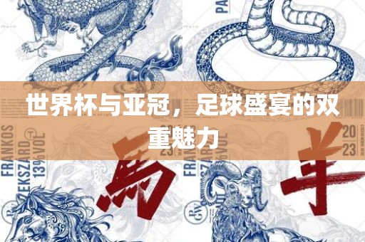 足球盛宴 第5页