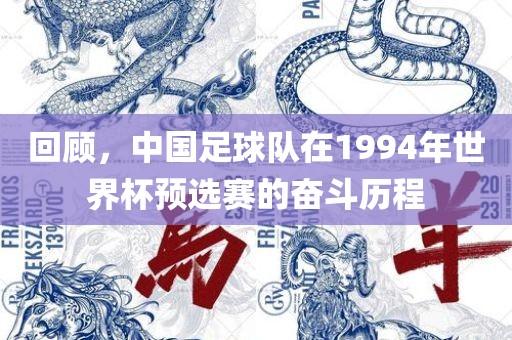 回顾，中国足球队在1994年世界杯预选赛的奋斗历程金炬实业股份有限公司