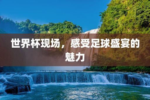世界杯现金炬实业股份有限公司场，感受足球盛宴的魅力