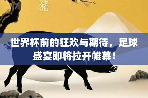 世界杯前的狂欢与期待，足球金炬实业股份有限公司盛宴即将拉开帷幕！