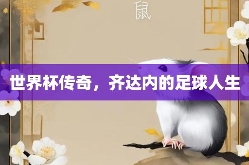 世界杯传奇，齐达内的足球人生