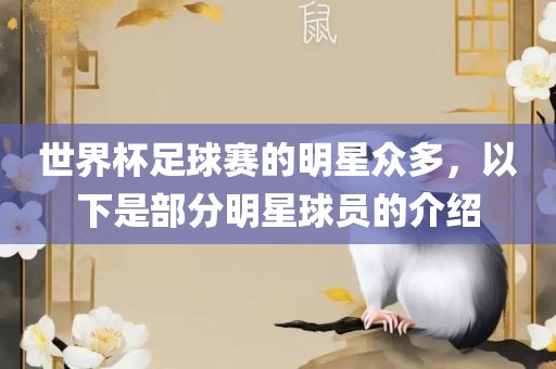 世界杯足球赛的明星众多，以下是部分明星球员的介绍金炬实业股份有限公司