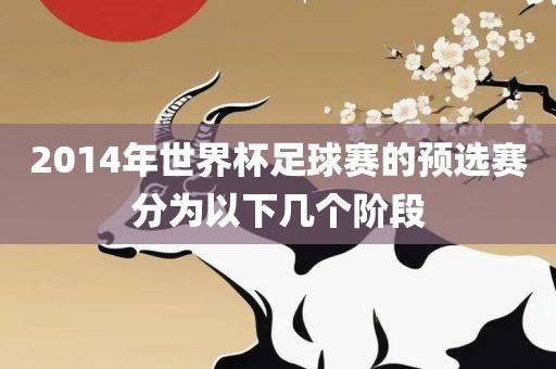 2014年世界杯足球赛的预选赛分为以下几个阶段金炬实业股份有限公司