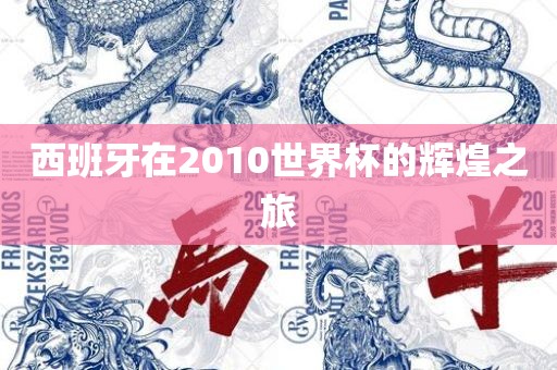 西班牙在2010世界杯的金炬实业股份有限公司辉煌之旅
