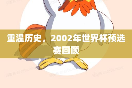 重温历史，2002年世界杯预选赛金炬实业股份有限公司回顾