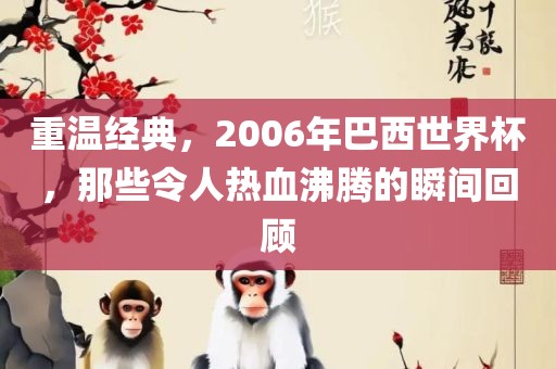 重温经典，2006年巴西世界杯，那些令人热血沸腾的瞬间回顾金炬实业股份有限公司