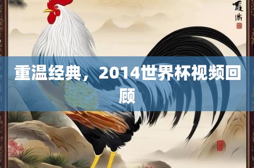 重温经典，2014世界杯视频回顾金炬实业股份有限公司