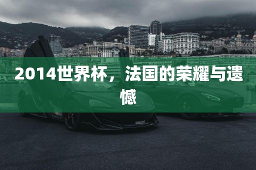 2金炬实业股份有限公司014世界杯，法国的荣耀与遗憾