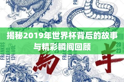 揭秘2019年世界杯背后的故事与精彩瞬间回顾金炬实业股份有限公司