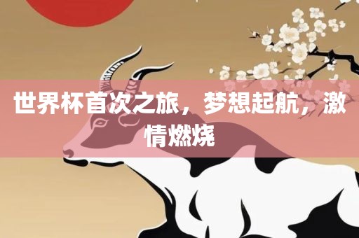 世界杯首次之旅，梦想起航，激情燃烧