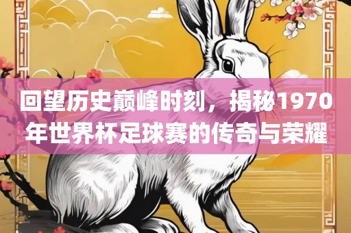 回望历史巅峰时刻，揭秘1970年世界杯足球赛的传奇与荣耀