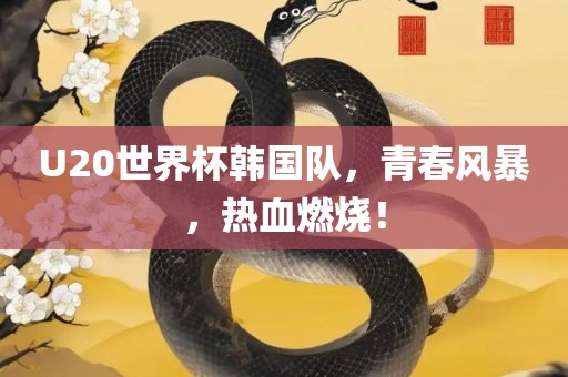 U20世界杯韩国队，青春风暴，热血燃烧！