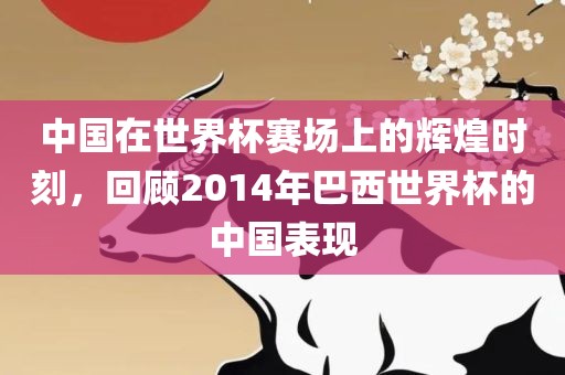 中国在世界杯赛场上的辉煌时刻，回顾2014年巴西世界杯的金炬实业股份有限公司中国表现