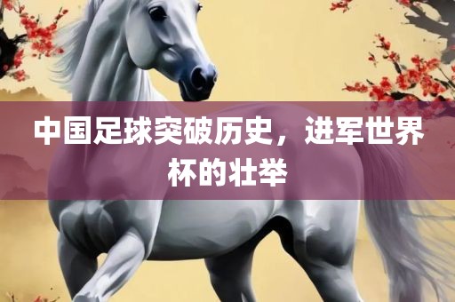 中国足球突破历史，进军世界杯的壮举金炬实业股份有限公司