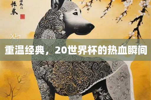 重温经典，20金炬实业股份有限公司世界杯的热血瞬间