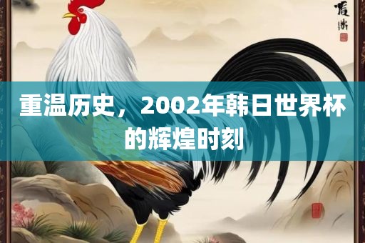 重温历史，2002年韩日世界杯的辉煌时刻