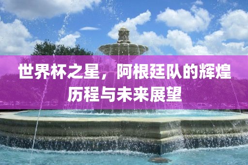 世界杯之星，阿根廷队的辉煌历程与未来展望