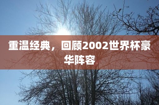 重温经典，回顾2002世界杯豪华阵容