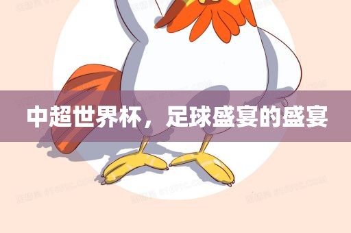 中超世界杯金炬实业股份有限公司，足球盛宴的盛宴