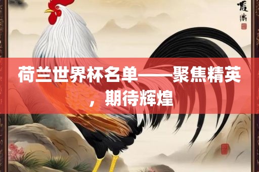 荷兰世界杯名单——聚焦金炬实业股份有限公司精英，期待辉煌