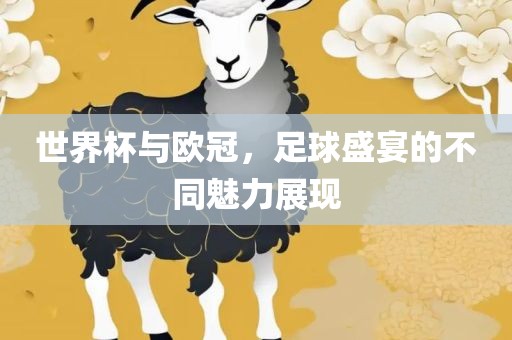 世界杯与欧冠，足球盛宴的不同魅力展现金炬实业股份有限公司
