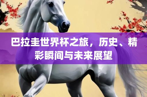 巴拉圭世界杯之旅，历史、精彩瞬间与未来展望金炬实业股份有限公司