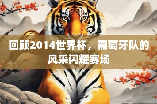 回顾2014世界杯，葡萄牙队的风采闪耀赛场