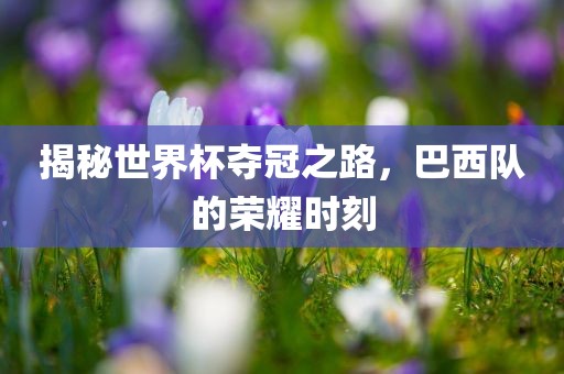 揭秘世界杯夺冠之路，巴西队的荣耀时刻