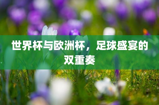 世界杯与欧洲杯，足球盛宴的双重奏