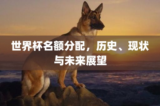 世界杯名额分配，历史、现状与未来展望