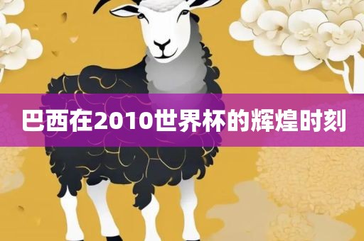 巴西在2010世界杯的辉煌时刻金炬实业股份有限公司