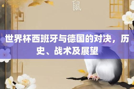 世界杯西班牙与德国的对决，历史、战术及展望