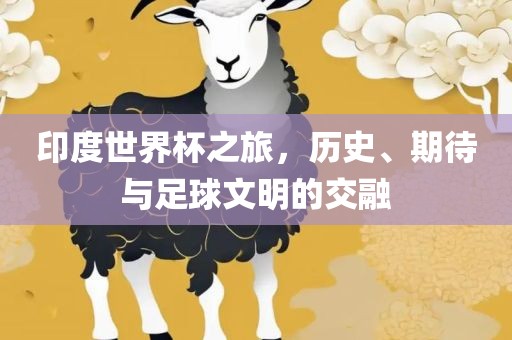印度世界杯之旅，历史、期待与足球文明的交融金炬实业股份有限公司