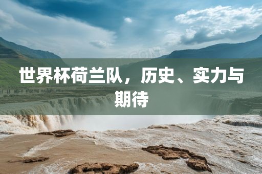 世界杯荷兰队，历史、实力与期待