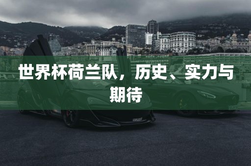 世界杯荷兰队，历史、实力与期待