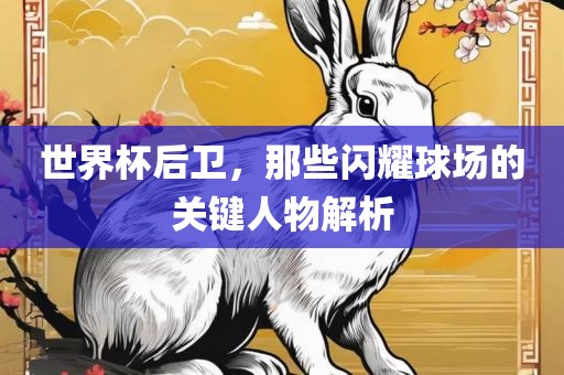 世界杯后卫，那些闪耀球场的关键人物解析金炬实业股份有限公司