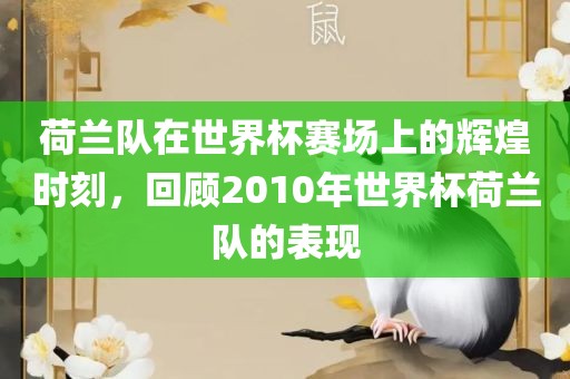 荷兰队在世界杯赛场上的辉煌时刻，回顾2010年世界杯荷兰队的表现