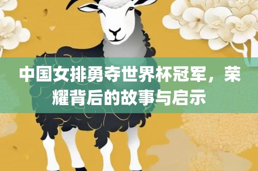 中国女排勇夺世界杯冠军，荣耀背后的故事与启示
