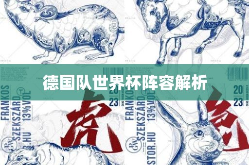 德国队世界杯阵容解析