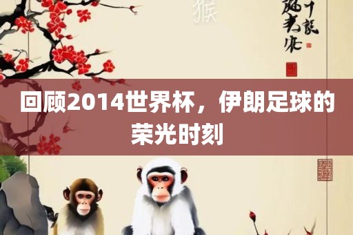 回顾2014世界杯，伊朗足球的荣光时刻