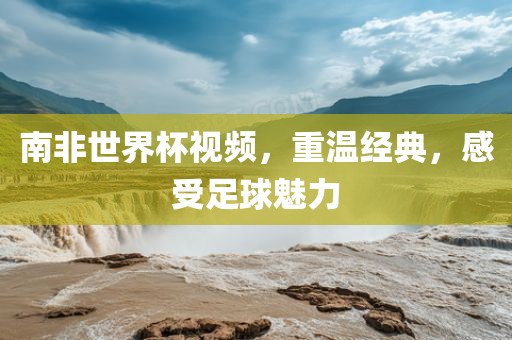 南非世界杯视频，重温经典，感受足球魅力